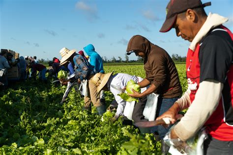 Moins D Immigrants Permanents Plus De Travailleurs Trangers