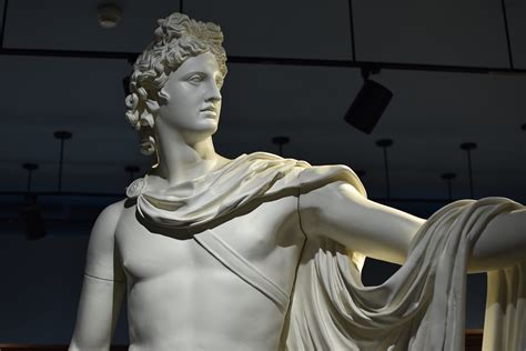 Apollo Belvedere Wilcox Classical Museum