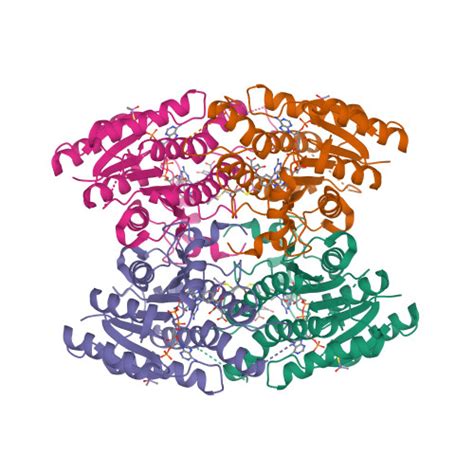 Rcsb Pdb C V Structure Of Trypanosoma Brucei Pteridine Reductase