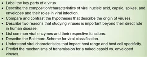 An Introduction To Viruses Flashcards Quizlet