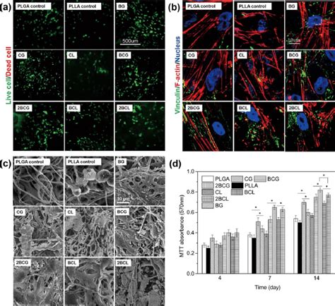 Biological Performance Of Scaffolds As Cultured With Mc3t3 E1 Cells