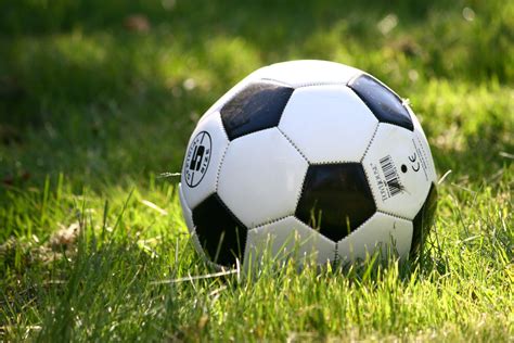 Kostenlose Foto Gras Rad Spielen Sommer Fußball Spielen Garten