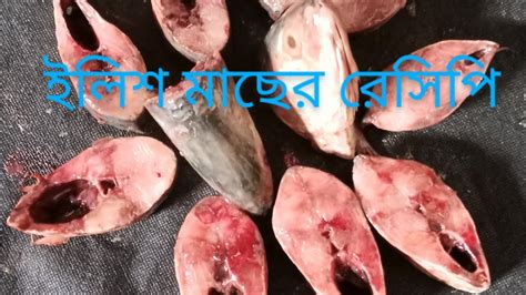 এ বছরের বর্ষার প্রথম ইলিশ মাছ দিয়ে কি বানালাম Viral Please