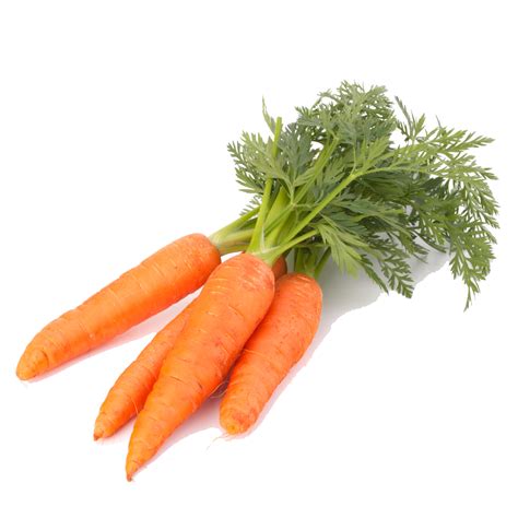 Carrot Capital Produce Of Virginia