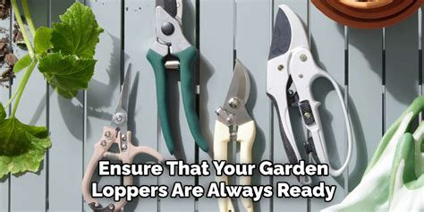 How To Sharpen Garden Loppers Step By Step Guide 2025