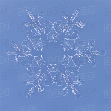 Snowflake magnified under microscope, Lilehammer, Norway - Stock Photo ...