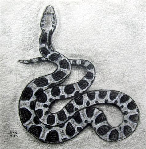 how to draw real snake
