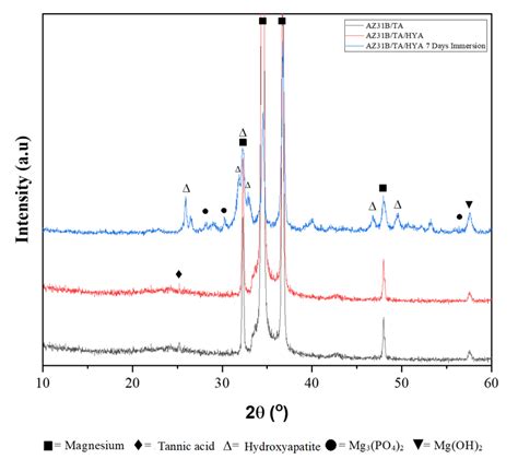 Metals Free Full Text Preparation Of Tannic Acid Hyaluronic Acid