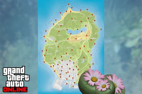 How to find Peyote plants in GTA Online: Locations and more