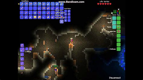 Lets Play Terraria 5 Untergrund Dschungel WTF YouTube