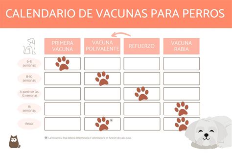 Calendario De Vacunas Para Perros Cachorros Y Adultos Obligatorias Y