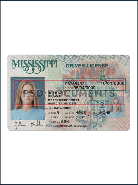 Mississippi Driver License Template Psd Documents