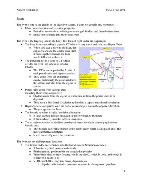 Anat Lecture Notes Fall Duodenum Elastase Catabolism