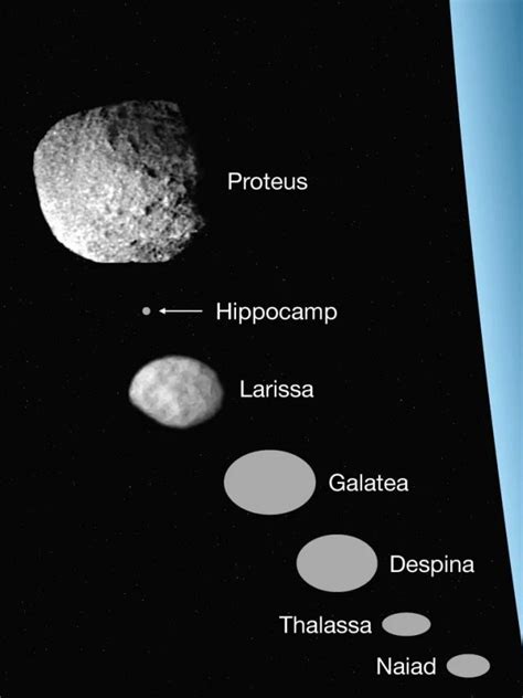 Ecco Ippocampo La Nuova Luna Di Nettuno Media Inaf