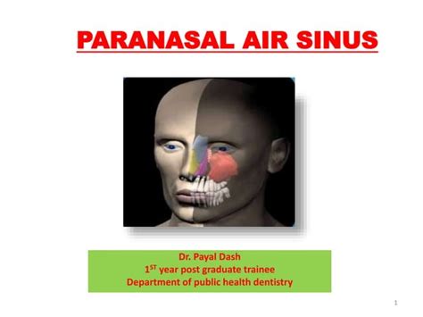 paranasal air sinus pptx