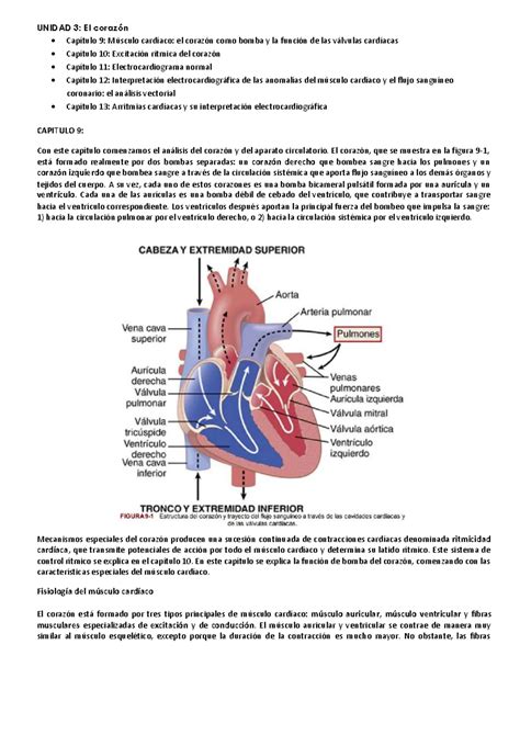 Dlstudocu Resumen Guyton E Hall Fisiologia Medica Ed Unidad