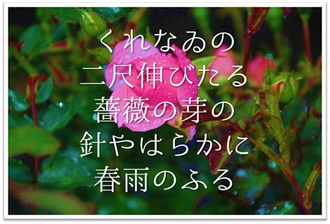 【願わくは花の下にて春死なんその如月の望月の頃】徹底解説意味や表現技法･句切れなど 短歌の教科書｜短歌の作り方・有名短歌の解説サイト