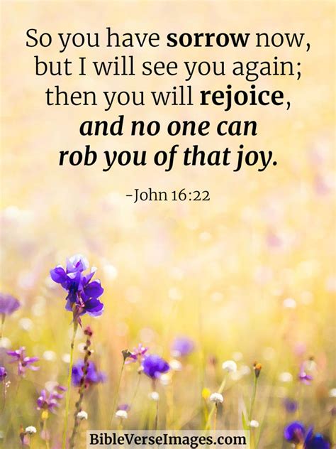 11 Bible Verses About Joy And Happiness Bible Verse Images