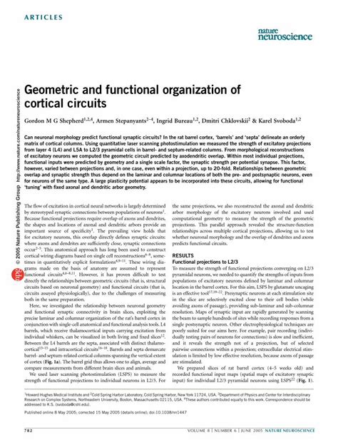 PDF Geometric And Functional Organization Of Cortical Circuits