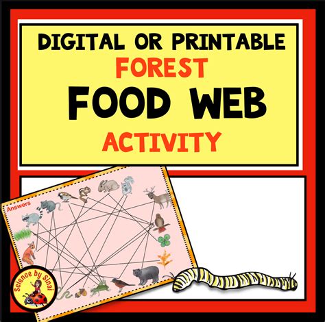 Digital Or Printable Interactive Food Web Activity Build A Forest Web