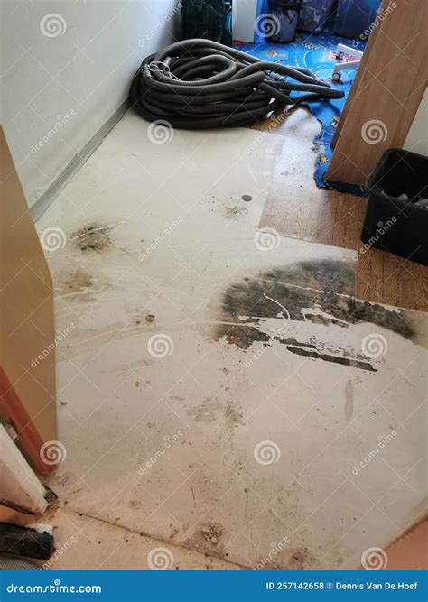 Clogged Sewage Drain Pipe Causing A Damage Stock Photo Image Of