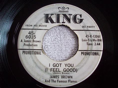 James Brown And The Famous Flames I Got You I Feel Good 1965