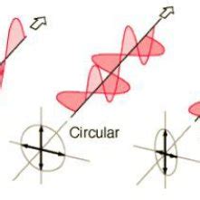 Linear Polarization. | Download Scientific Diagram