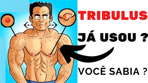 TRIBULUS TERRESTRIS VOCÊ NÃO SABE USAR ATUALIZADO YouTube