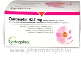 Clavaseptin Amoxycillin Mg Clavulanic Acid Mg Mg Tablets