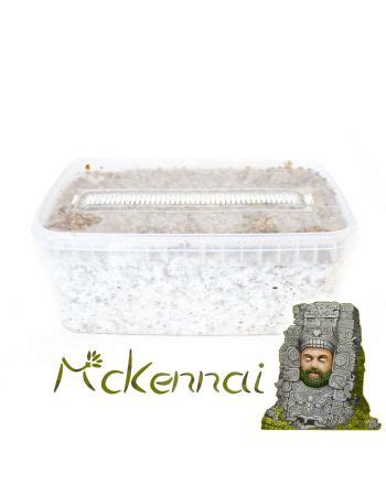 Smartshop Want To Buy Mckennaii Mushroom Grow Kit Order The Magic