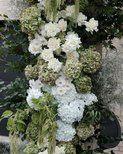 Pin By Carries Diani On Iphone Background Wallpaper In 2024 Hydrangea