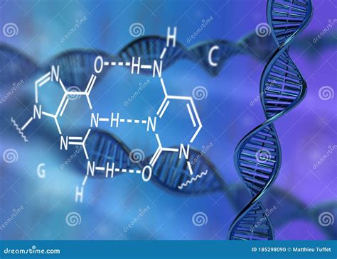 Molécula De Dna Dupla Hélice Gc Par Base 3d Renderização Ilustração