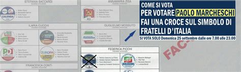 Settembre Quando E Come Si Vota Guarda Il Fac Simile Di Scheda