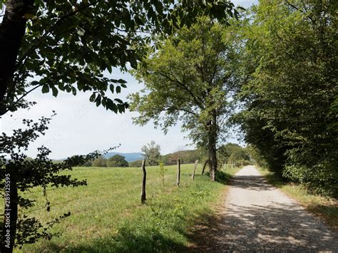 Le circuit pédestre autour du lac artificiel et barrage de Michelbach