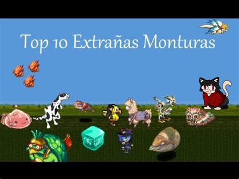EL CAPITAN HORNY reacciona a Top 10 Extrañas Monturas arda fantasia digital YouTube