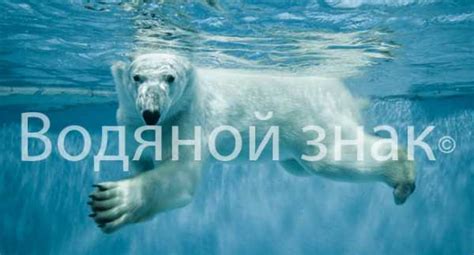 Водяной знак онлайн – Онлайн сервис для добавления водяного знака на ...