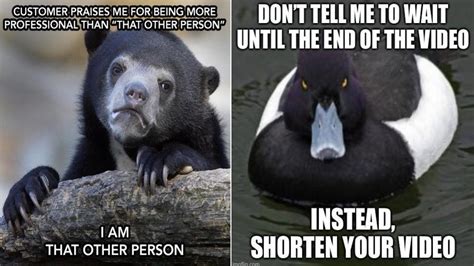 10 Funny Advice Animal Memes For The Modern Day Human | Know Your Meme