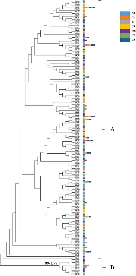 Phylogenetic Trees Reconstructed From Mitochondrial Sequences Of The Download Scientific