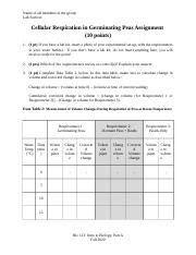 Cellular Respiration In Germinating Peas Post Lab Group Assignment Docx