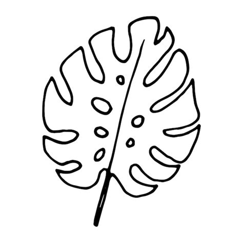 Doodle Monstera Hoja Contorno Clipart Elemento Dibujado A Mano Vector