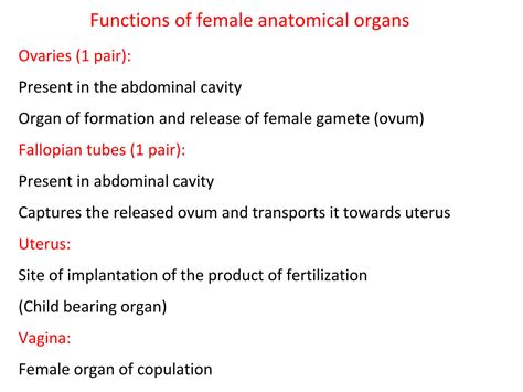 Solution Femele Reproductive System I Lec 4 Studypool