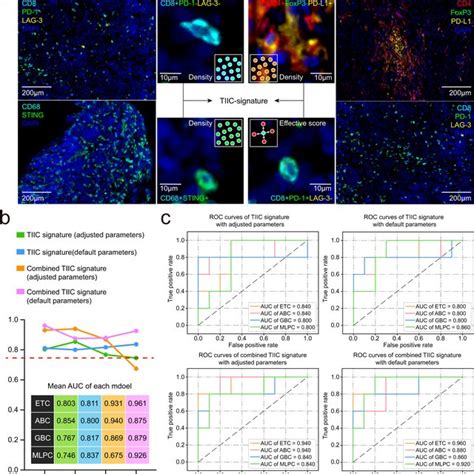 The TIIC Signature Predicts The Response To Anti PD 1 PD L1 Based