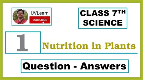 Nutrition In Plants Chapter Class Science