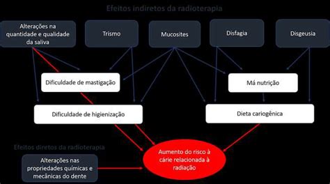 Esquema Ilustrativo Relacionando Efeitos Diretos E Indiretos No