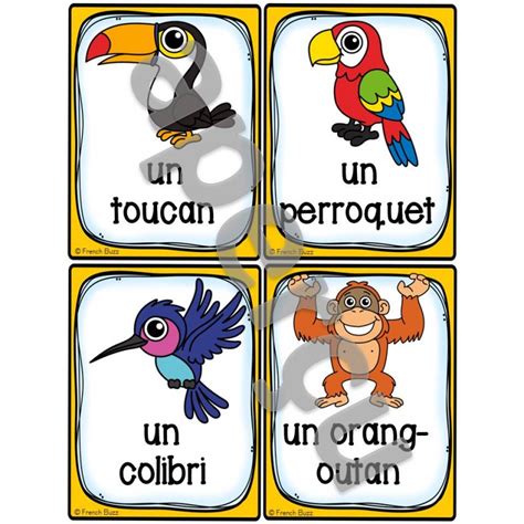 Animaux De La For T Tropicale Vocabulaire