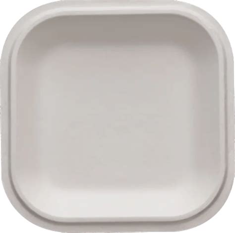 7 Inch Biodegradable Plate At Rs 410piece Biodegradable Paper Plate