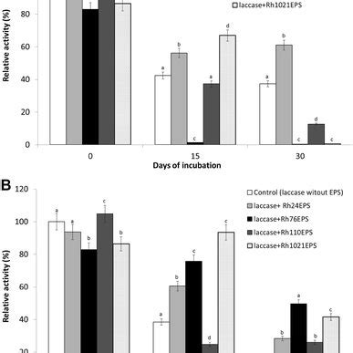 Effect Of Day Incubation On Laccase Activity And Stability In The