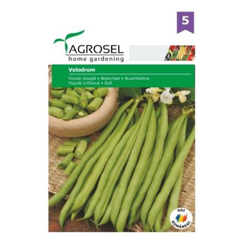 Seminte Fasole Oloaga Verde Velodrom Păstaie Verde Agrosel 250 G