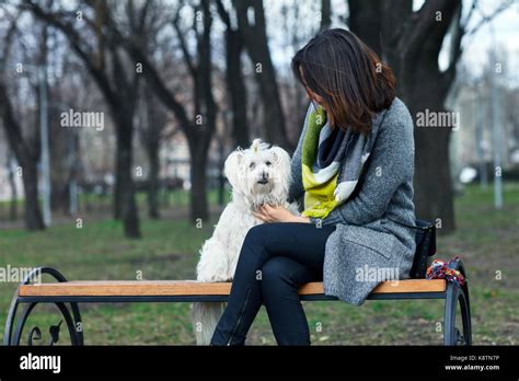 Cute Little Dog Playing With Owner Outdoors Stock Photo Alamy