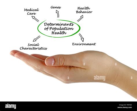 Factores Determinantes De La Salud De La Población Fotografía De Stock